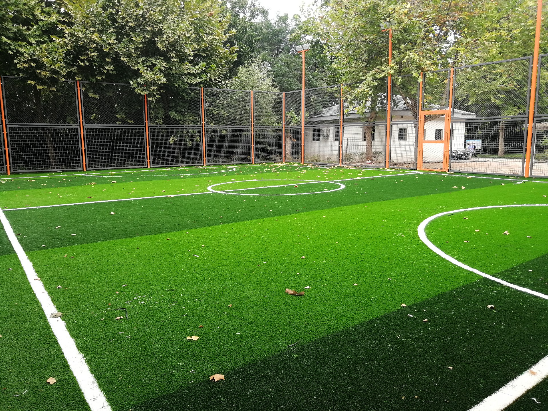 1667981313778973.jpg 220a0d7193ee5998da2ebf96c1b04bc.jpg